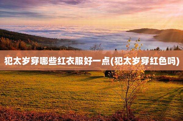 犯太岁穿哪些红衣服好一点(犯太岁穿红色吗)