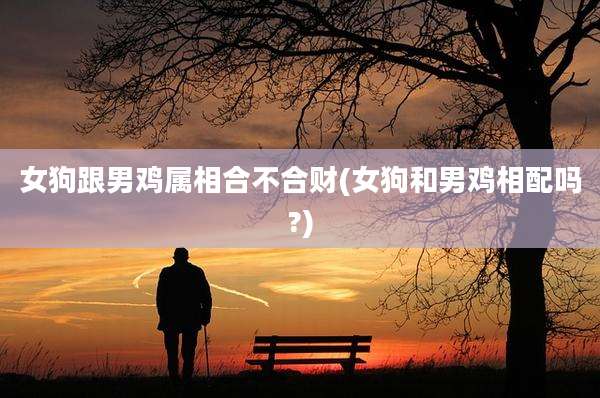 女狗跟男鸡属相合不合财(女狗和男鸡相配吗?)