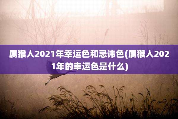 属猴人2021年幸运色和忌讳色(属猴人2021年的幸运色是什么)