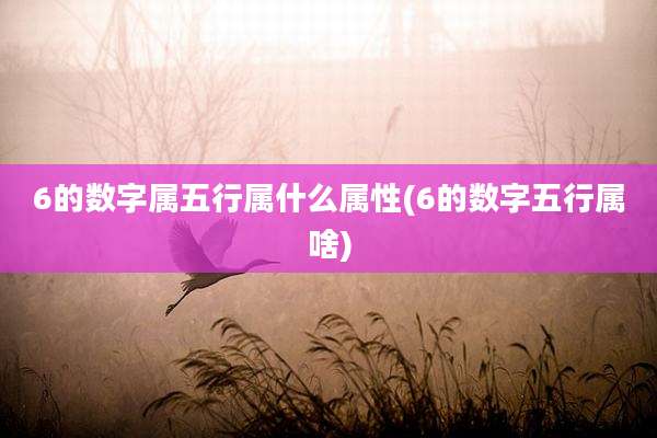 6的数字属五行属什么属性(6的数字五行属啥)