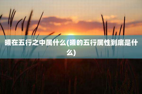曦在五行之中属什么(曦的五行属性到底是什么)