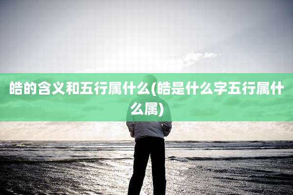 皓的含义和五行属什么(皓是什么字五行属什么属)