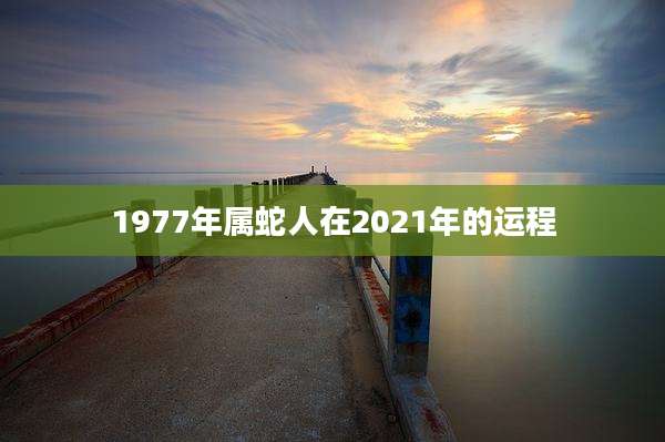 1977年属蛇人在2021年的运程