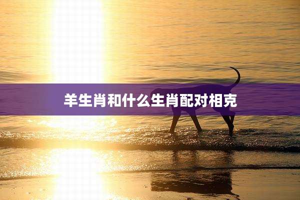 羊生肖和什么生肖配对相克