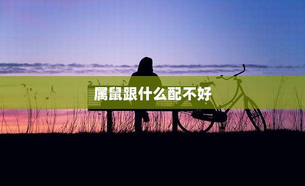 属鼠跟什么配不好