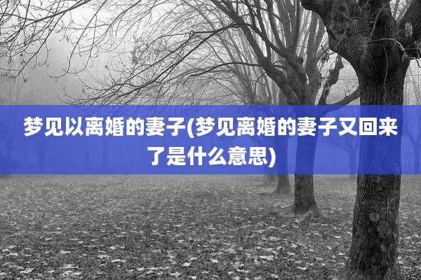 梦见以离婚的妻子(梦见离婚的妻子又回来了是什么意思)