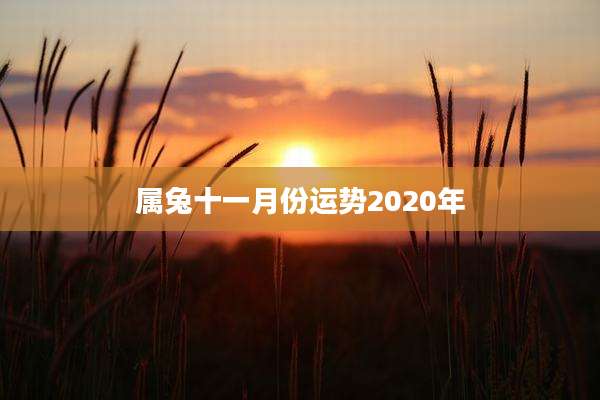 属兔十一月份运势2020年