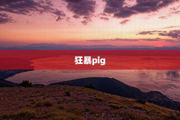 狂暴pig