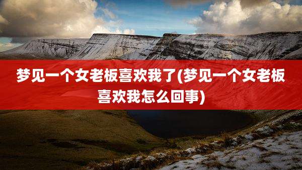 梦见一个女老板喜欢我了(梦见一个女老板喜欢我怎么回事)