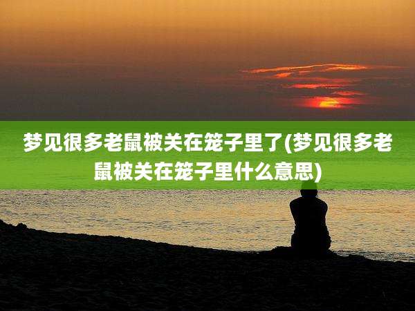 梦见很多老鼠被关在笼子里了(梦见很多老鼠被关在笼子里什么意思)