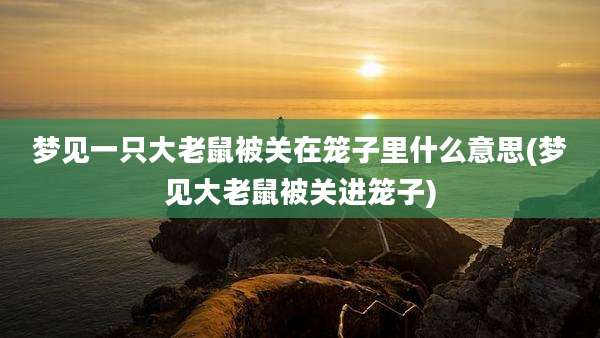 梦见一只大老鼠被关在笼子里什么意思(梦见大老鼠被关进笼子)