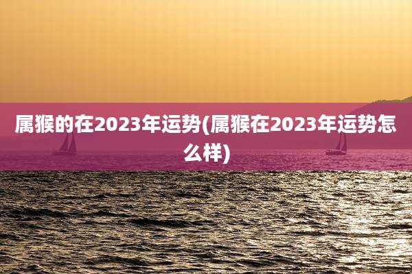 属猴的在2023年运势(属猴在2023年运势怎么样)