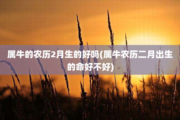 属牛的农历2月生的好吗(属牛农历二月出生的命好不好)