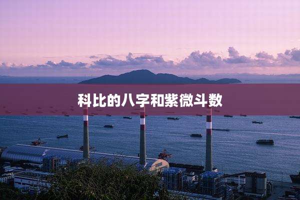 科比的八字和紫微斗数