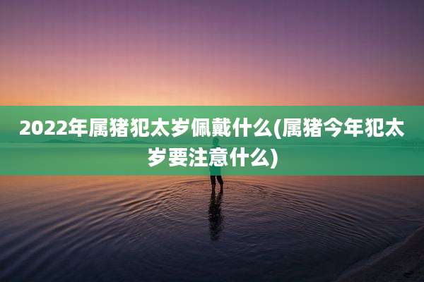 2022年属猪犯太岁佩戴什么(属猪今年犯太岁要注意什么)