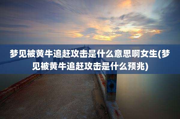 梦见被黄牛追赶攻击是什么意思啊女生(梦见被黄牛追赶攻击是什么预兆)