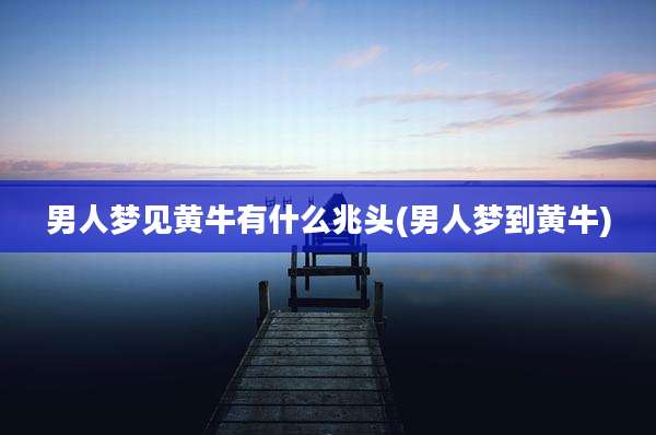 男人梦见黄牛有什么兆头(男人梦到黄牛)