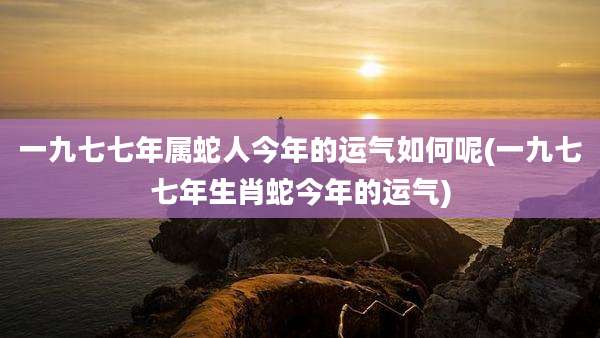 一九七七年属蛇人今年的运气如何呢(一九七七年生肖蛇今年的运气)