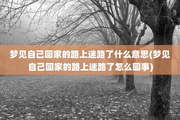 梦见自己回家的路上迷路了什么意思(梦见自己回家的路上迷路了怎么回事)