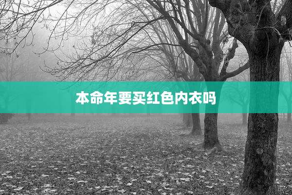 本命年要买红色内衣吗