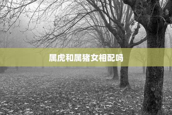 属虎和属猪女相配吗