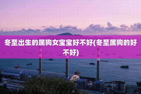 冬至出生的属狗女宝宝好不好(冬至属狗的好不好)