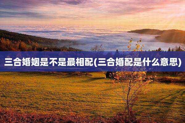 三合婚姻是不是最相配(三合婚配是什么意思)