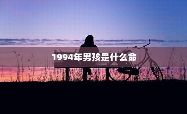 1994年男孩是什么命
