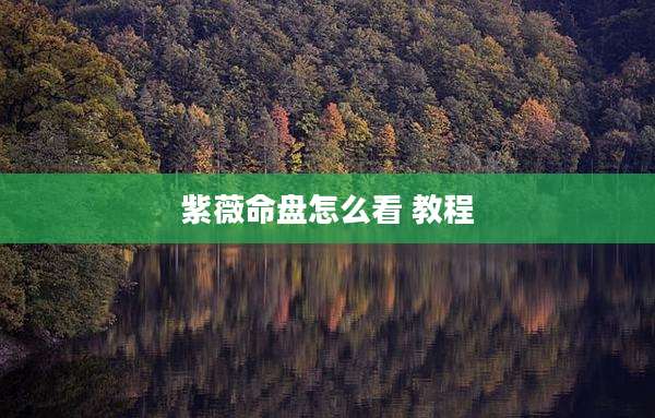 紫薇命盘怎么看 教程