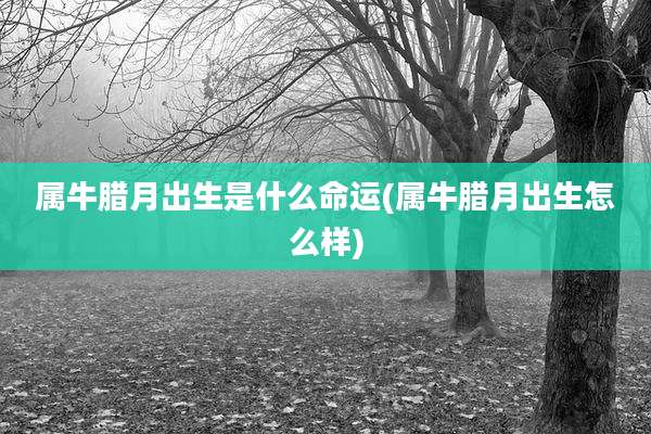 属牛腊月出生是什么命运(属牛腊月出生怎么样)