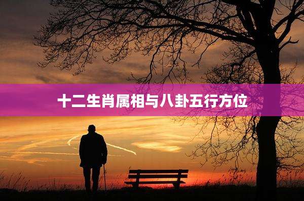 十二生肖属相与八卦五行方位