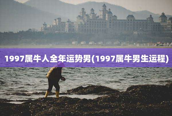 1997属牛人全年运势男(1997属牛男生运程)