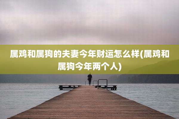 属鸡和属狗的夫妻今年财运怎么样(属鸡和属狗今年两个人)