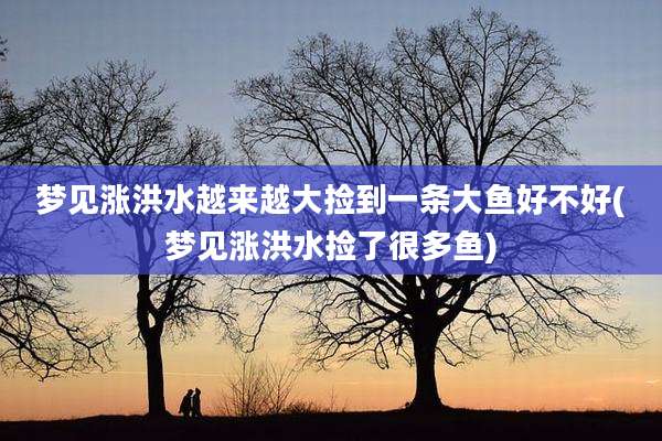 梦见涨洪水越来越大捡到一条大鱼好不好(梦见涨洪水捡了很多鱼)