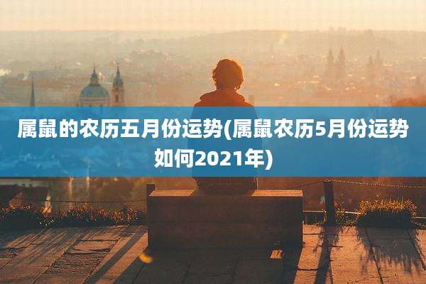属鼠的农历五月份运势(属鼠农历5月份运势如何2021年)