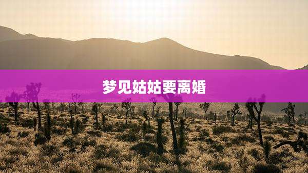梦见姑姑要离婚