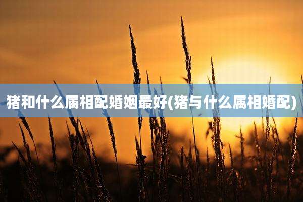 猪和什么属相配婚姻最好(猪与什么属相婚配)