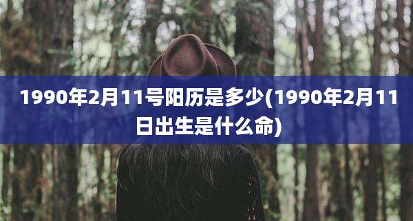 1990年2月11号阳历是多少(1990年2月11日出生是什么命)