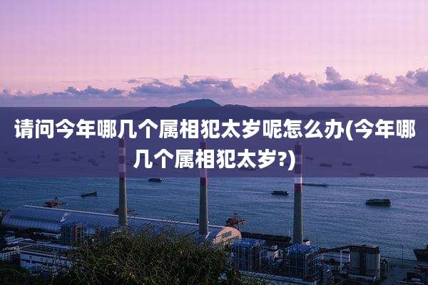 请问今年哪几个属相犯太岁呢怎么办(今年哪几个属相犯太岁?)