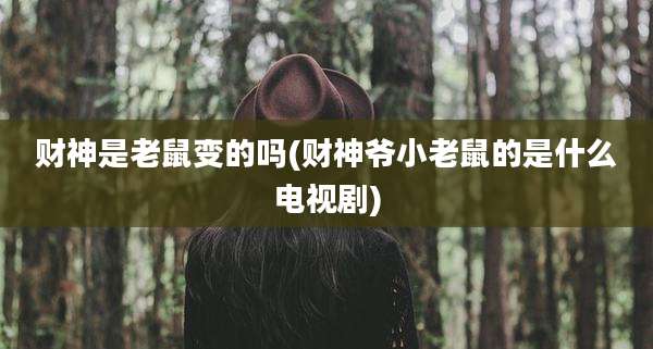 财神是老鼠变的吗(财神爷小老鼠的是什么电视剧)