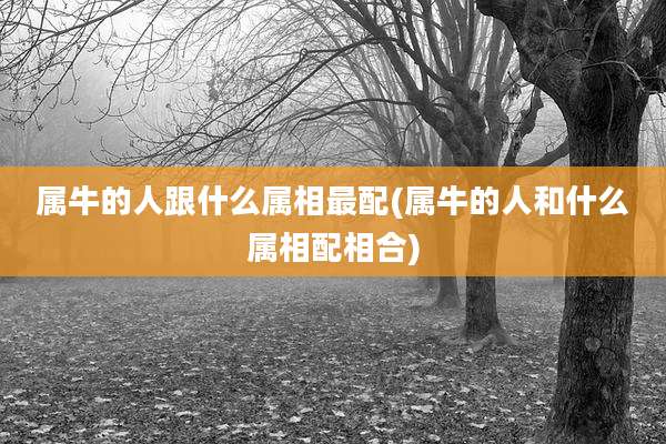 属牛的人跟什么属相最配(属牛的人和什么属相配相合)