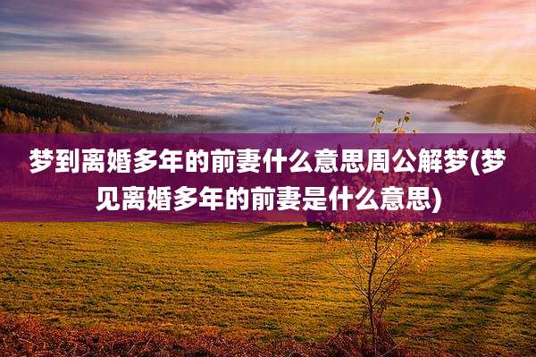 梦到离婚多年的前妻什么意思周公解梦(梦见离婚多年的前妻是什么意思)