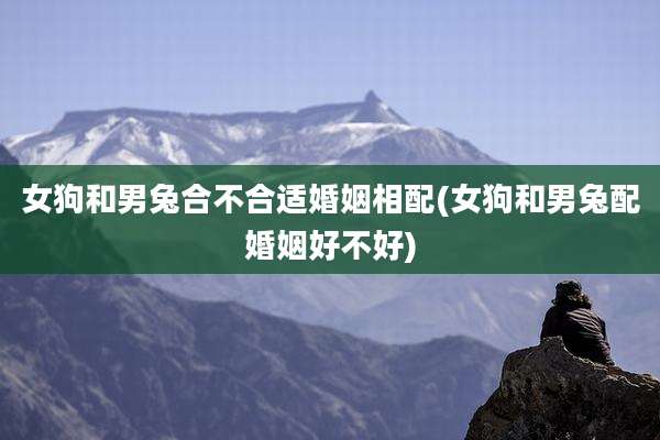 女狗和男兔合不合适婚姻相配(女狗和男兔配婚姻好不好)
