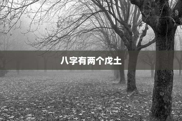 八字有两个戊土
