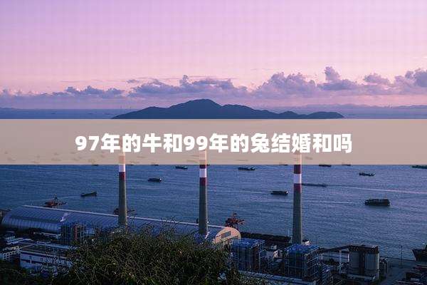 97年的牛和99年的兔结婚和吗