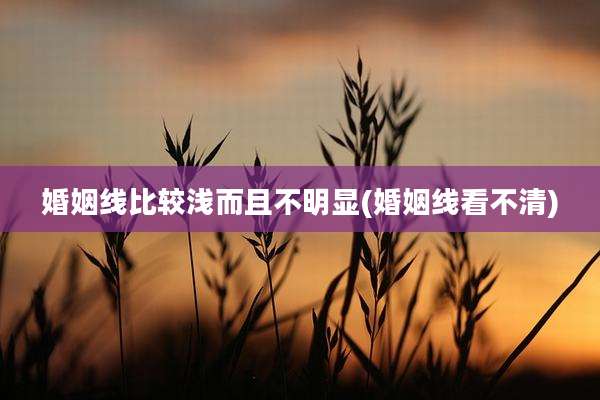 婚姻线比较浅而且不明显(婚姻线看不清)