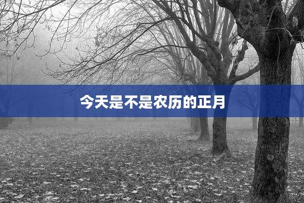 今天是不是农历的正月