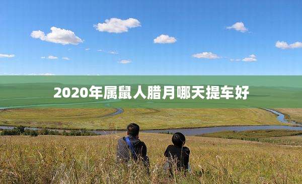 2020年属鼠人腊月哪天提车好
