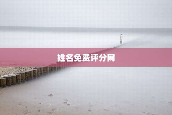 姓名免费评分网
