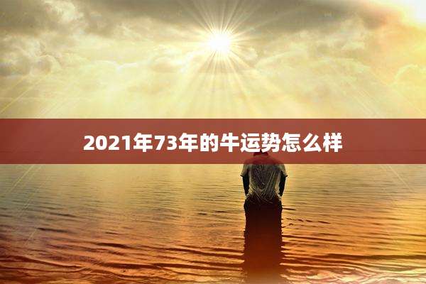 2021年73年的牛运势怎么样
